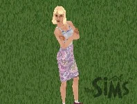 sims1