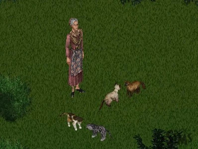 sims1