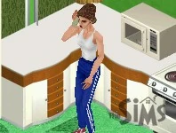 sims1